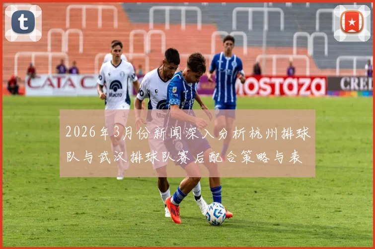 2026年3月份新闻深入分析杭州排球队与武汉排球队赛后配合策略与表现的复盘总结